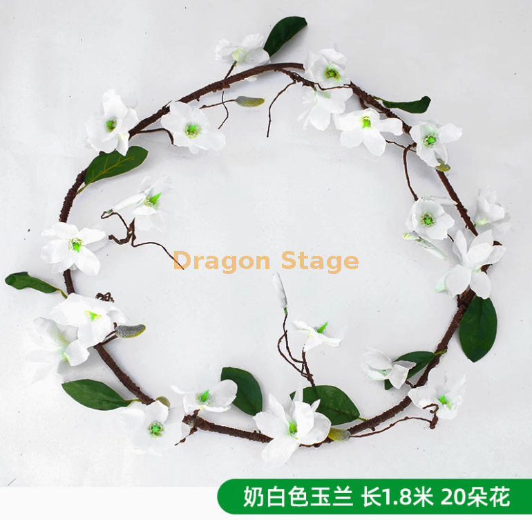 白色 （（一条））