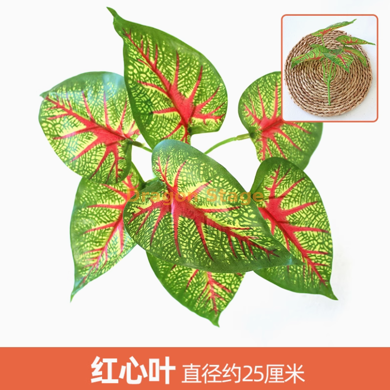 金色 红心叶 1 枝 枝