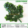 Folhas de árvore de banyan simuladas, folhas de bordo vermelho, folhas de ginkgo, shopping center, galhos falsos internos, plantas plásticas coladas, bastões verdes colados, folhas de árvore Banyan, 12 galhos