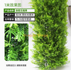 Pacote para decorar e cobrir tubos de água, simular a casca de árvore, plantas verdes e criptografar cinco bênção no conjunto de grama (3 metros), com o pacote de instalação incluído
