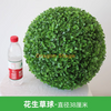 Planta de planta de planta bola Milão Ball Plástico Planta Verde Decoração de teto Flores e amendoins Bola de grama - diâmetro 38 cm