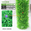 Pacote para decorar e cobrir tubos de água, simular a casca de árvore, plantas verdes, flores coloridas e grandes plantas aquáticas (3 metros). Pacote de instalação incluído