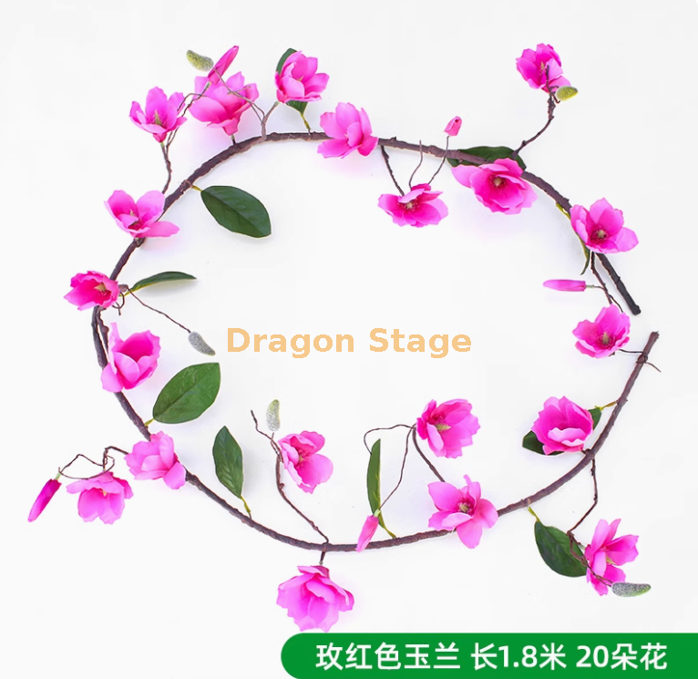 玫红色玉兰花藤 （（1 条））））））））
