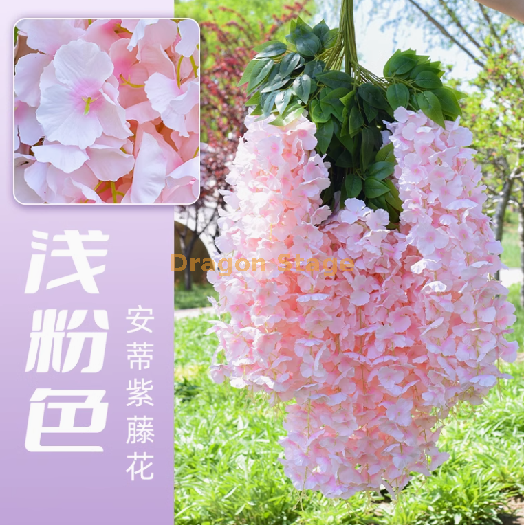 （6 枝））））））））））） 枝 枝 安帝紫藤花【超密】