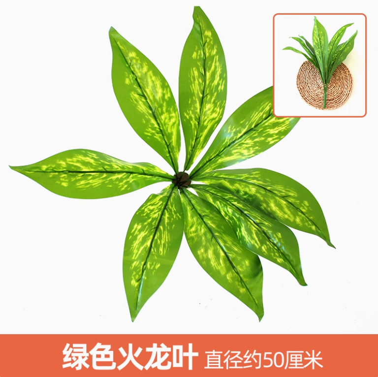 灰色 绿色火龙叶 1 枝