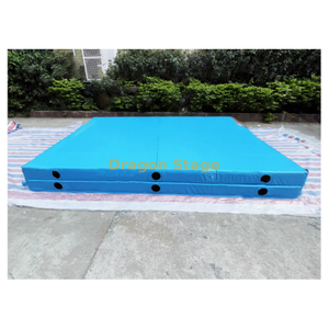 Ninja guerreira tapa de céu azul