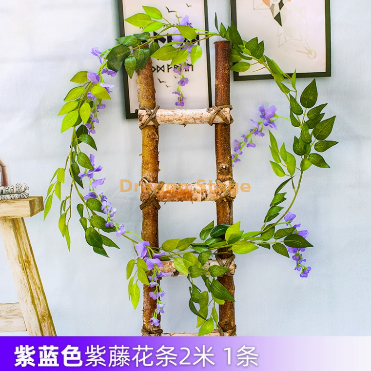 蓝色 紫蓝紫藤花 1