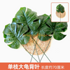 Plantas verdes, paredes de plantas simuladas, gramados de plástico, varandas, fundos internos, paredes de flores, ramo único azul, tartaruga de grandes dimensões, 1 galho