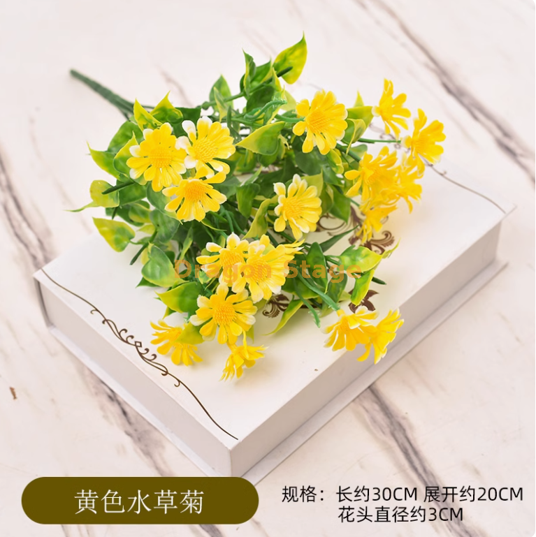 黄色雏菊