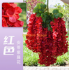 Wisteria simulada tofu pudim cordão violeta violeta teto falso flor rattan interior decoração de casamento antie wisteria [ultra denso] vermelho (6 galhos)