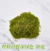 Muss de musgo simulado biomimético Artificial Falso Moss Micro paisagem Arranjo filamentoso Muss Verde escuro 30g, aproximadamente 30 x 30 cm de tamanho