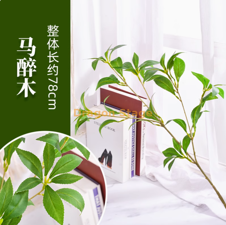 马醉木 -1 枝
