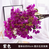 Bougainvillea simulada, flores de cerejeira, flores de borboleta, flores de ameixa, galhos, área cênica, árvores de jardim, design de paisagem, bougainvila criptografada roxa