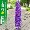 Wisteria simulada Tofu Pudding String violetas Violetas falsas Camelo de teto Falso Flor de cravo de 4 rabisco - ramo de roxo escuro 1