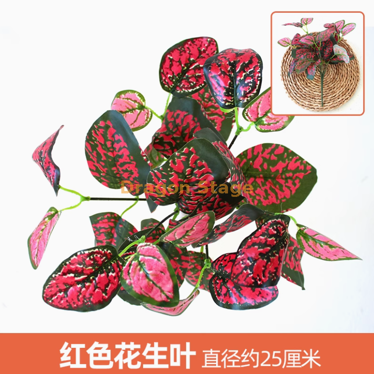 玫红色 红色花生叶 1 枝 枝