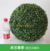 Planta de planta de planta bola Milão Ball Plástico Planta Verde Decoração de teto