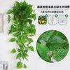 Orquídea de parede violeta simulada Orquídea grande bordado de bordado de plástico flor artificial flor de seda verde escuro novo Ultra denso Fense Ivy Verde (incluído com cesta triangular)