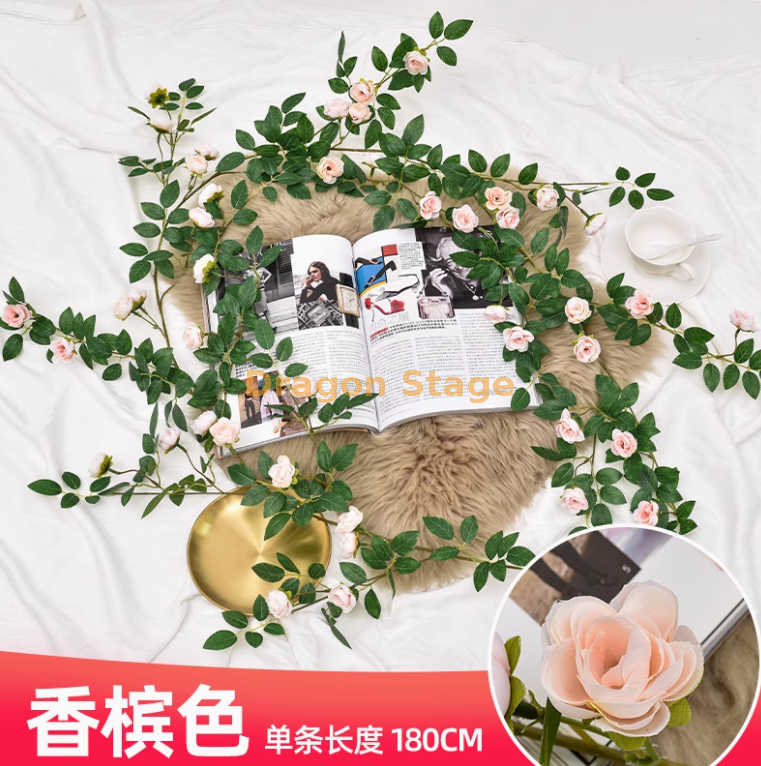 1 1 条维西利亚花苞藤 1 条